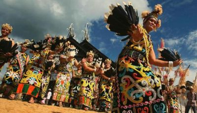 10 Aplikasi Translate Bahasa Dayak Paling Akurat untuk Ngaju hingga Kenyah