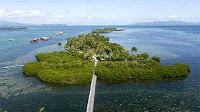 Pulau Osi Maluku Tawarkan Laut Jernih dan Keindahan Alam Alami Tenang