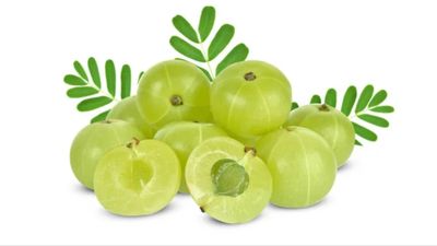 7 Manfaat Buah Malaka untuk Tubuh yang Perlu Kamu Ketahui