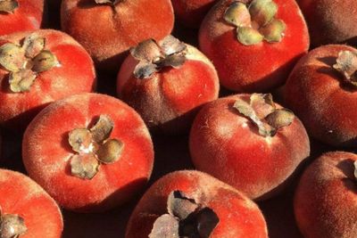 7 Manfaat Buah Bisbul untuk Kesehatan, Kaya Vitamin dan Antioksidan