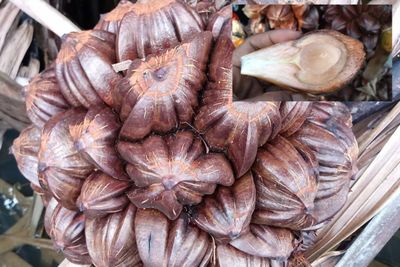 7 Manfaat Buah Nipah untuk Kesehatan, Bantu Jaga Gula Darah