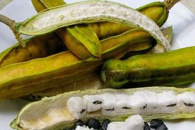 Buah-Buahan Khas Bali dan Cita Rasanya yang Unik, Cocok untuk Wisatawan Pecinta Kuliner