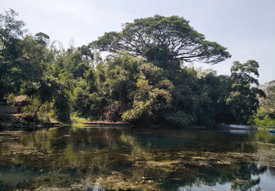 Sumber Gentong, Wisata Alam Murah di Malang dengan Air Jernih dan Suasana Tenang