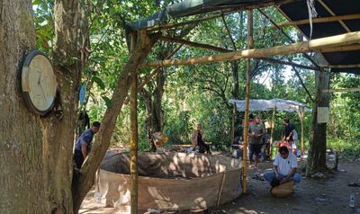 Lokasi Sabung Ayam di Kampung Bojong Samar, Carenang Digrebek