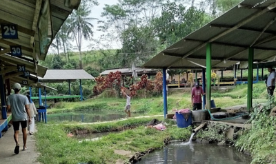 Mancing Sekaligus Makan Ikan Bakar di Kepanjen, Ini Spot Favorit Keluarga yang Wajib Dicoba