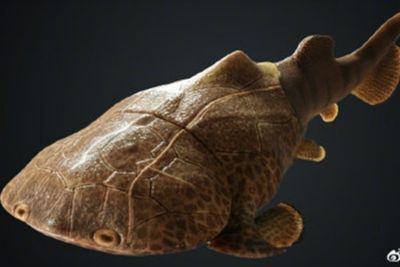 Berawal dari Main Kung Fu, Ahli Paleontologi Temukan Fosil Ikan Langka di China!
