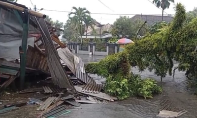 Angin Kencang Terjang Jabung Malang, Pohon Tumbang Rusak Rumah Warga