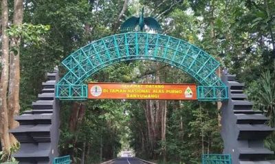 Hutan Terlarang di Indonesia: Mitos, Kearifan Lokal dan Penjaga Ekosistem