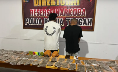 Dua Terduga Pengedar Ganja Ditangkap di Nabire, Satu WNA PNG Terlibat Jaringan Antarwilayah