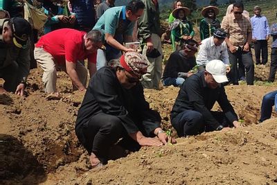Petani Diimbau Jaga Kualitas Tembakau Temanggung, Kemitraan Jadi Kunci