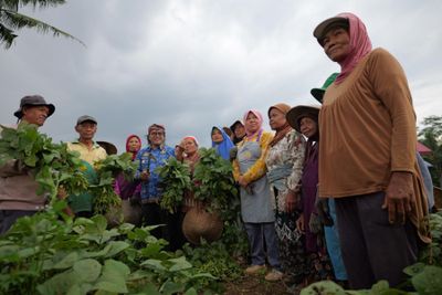 Minat Ekspor Tinggi, Bupati Temanggung Dorong Diversifikasi Edamame dan Buncis