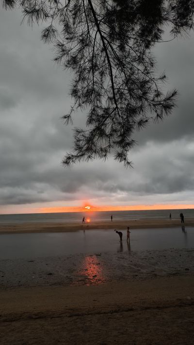 Mengenal Hari Surya Sedunia: Kampanye Energi Hijau Penyelamat Bumi