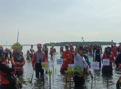Kawasan Rob di Batang Disulap Jadi Objek Wisata Perikanan 300 Hektare