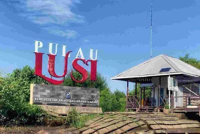 Pulau Lusi Sidoarjo: Wisata Unik dari Lumpur Lapindo yang Kini Menjelma Jadi Surga Mangrove