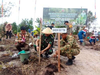 Gaungkan Aksi Hijau, Kodim 0907 Tarakan Tanam Ribuan Pohon di Tarakan Utara