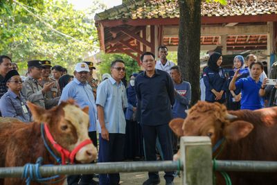 Stok Hewan Kurban Idul Asha 2026 di Sleman Dipastikan Aman Meski Harga Naik, Larang Plastik Tapi Pakai Besek