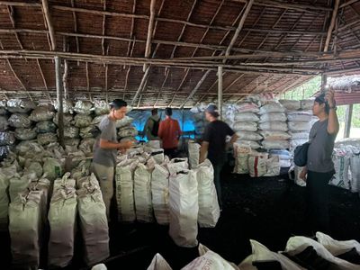 Polisi Bongkar Jaringan Arang Mangrove Ilegal di Meranti, 100 Ton Barang Bukti Disita
