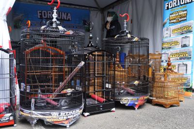 Dari Hobi Jadi Cuan, Kisah Perajin Sangkar Burung yang Ikut Gerakkan Ekonomi Rakyat
