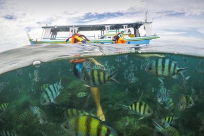 Berapa Biaya Snorkeling di Belitung? Cek Rincian Lokasi dan Harganya!