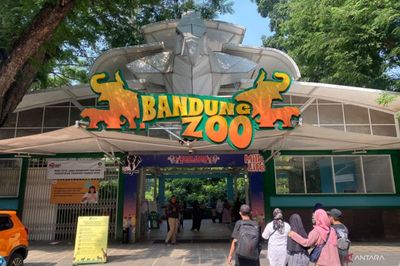 TSI Siap Ambil Alih Pengelolaan Kebon Binatang Bandung