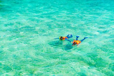 Rekomendasi Spot Snorkeling Paling Indah di Sulawesi Tenggara untuk Pemula