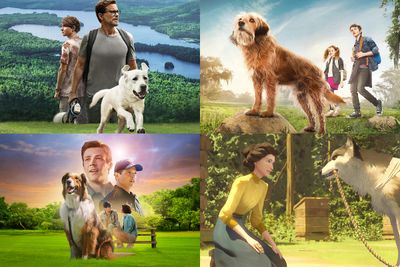 8 Film Tentang Anjing di Netflix yang Paling Mengharukan dan Menguras Air Mata