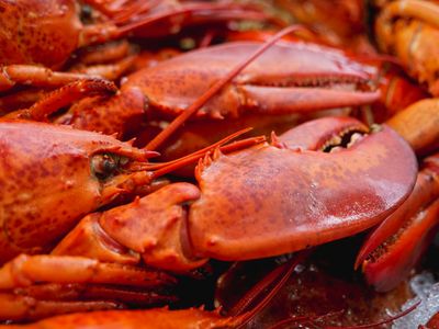 Udang Selingkuh Khas Papua Jadi Kuliner Eksotis Wamena Dengan Rasa Mirip Lobster