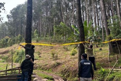 Pengusaha Sulap 1,3 Hektare Hutan di Bone Jadi Kebun-Peternakan Ayam, Terancam 10 Tahun Penjara