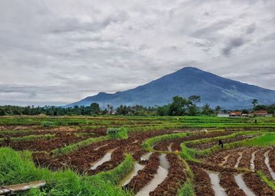 Kaki Gunung Ciremai Punya Jejak Gempa Purba Berusia 20 Ribu Tahun