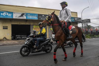 PNS Tasikmalaya Ngantor Naik Kuda, Alasannya Bikin Salut