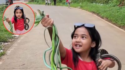 Anak Kecil Perempuan ini Bikin Heboh karena Santai Membawa Banyak Ular dari Sawah