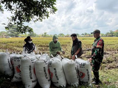 BULOG Lampung Serap 369.000 Ton Gabah, Stok Beras 200.000 Ton & Salurkan Bantuan ke 1,26 Juta Penerima