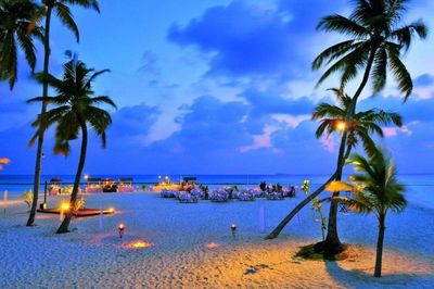 Bingung Mau ke Mana? Ini 5 Ide Liburan Weekend Seru di Kawasan Jambi yang Wajib Dicoba!