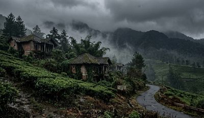 4 Lokasi Mistis di Kawasan Puncak Bogor: Waspada Buat Kamu yang Liburan