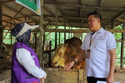 Jelang Idul Adha 1447 H, Distankan Pekanbaru Pastikan Hewan Kurban Bebas PMK