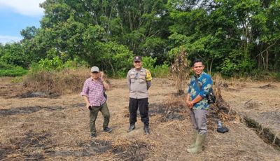 Dukung Ketahanan Pangan, Bhabinkamtibmas dan Pemdes Mekar Alam Kanan Cek Lokasi Penanaman Jagung