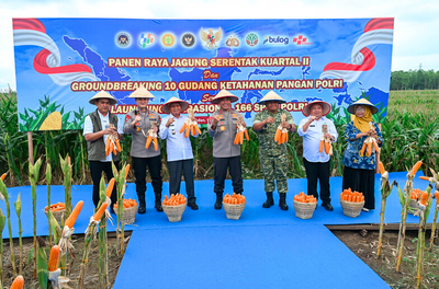 Panen Raya Jagung Jadi Momentum Perkuat Ketahanan Pangan Nasional