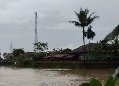 Sawah Terendam Tiga Kali Gagal Panen Diduga dari Aktivitas Pabrik, Warga Sukajaya Minta DPRD Turun Tangan
