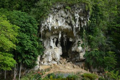 Gua Liang Bangkai, Jejak Peradaban Purba di Kalimantan Timur