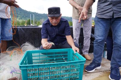 Panen Perdana Udang Vaname di Tuada Capai 1,5 Ton, Pemprov Malut Dorong Ekonomi Nelayan