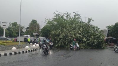 Badai Hantam Kota Jogja, BPBD Ungkap 18 Wilayah Terdampak : Lima Tower Runtuh, Jalan Umum Tertutup