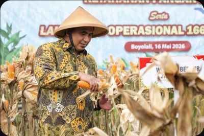 Hadiri Proses Panen Padi, Taj Yasin Sebut ini Langkah Pemerintah Tingkatkan Ketahanan Pangan