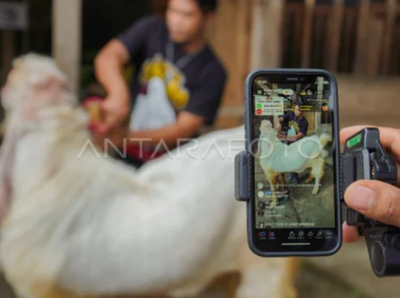 Jual Kambing Lewat Live Streaming, Pedagang Kurban di Malang Raup Pembeli hingga Luar Kota