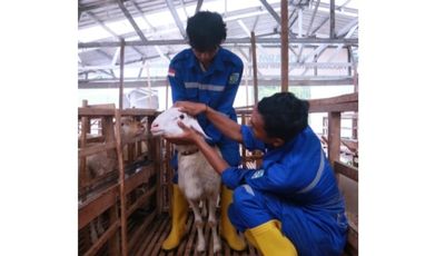 Kurban Satu Kambing untuk Sekeluarga Sah? Ini Penjelasan Syariat dan Fatwa Ulama