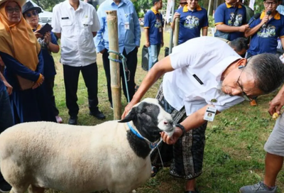 Pemprov Jateng Pastikan Kesehatan Hewan Kurban Lewat Program Healing dan Vaksinasi