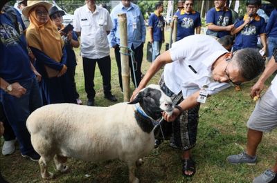 Hewan Kurban yang Masuk Ke Jateng Harus Jalani Tes Kesehatan dan Vaksinasi