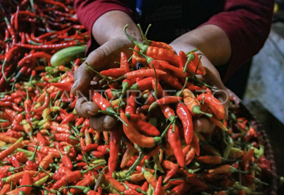Jelang Idul Adha 2026, Harga Bawang dan Cabai di Kota Malang Melonjak, Pedagang Keluhkan Omzet Menurun