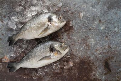Ikan Parende dan Kasuami, Kuliner Hidden Gem Paling Banyak Dicari di Baubau