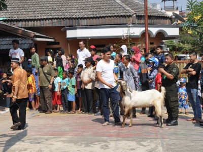Melewati Batas Waktu, Bagaimana Jika Hewan Kurban Disembelih di Atas Tanggal 14 Dzulhijjah?