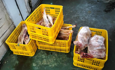 Rahasia Daging Kambing Empuk dan Bebas Bau Prengus, Ternyata Bukan Cuma Soal Rempah